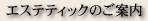 �G�X�e�e�B�b�N�̂��ē�